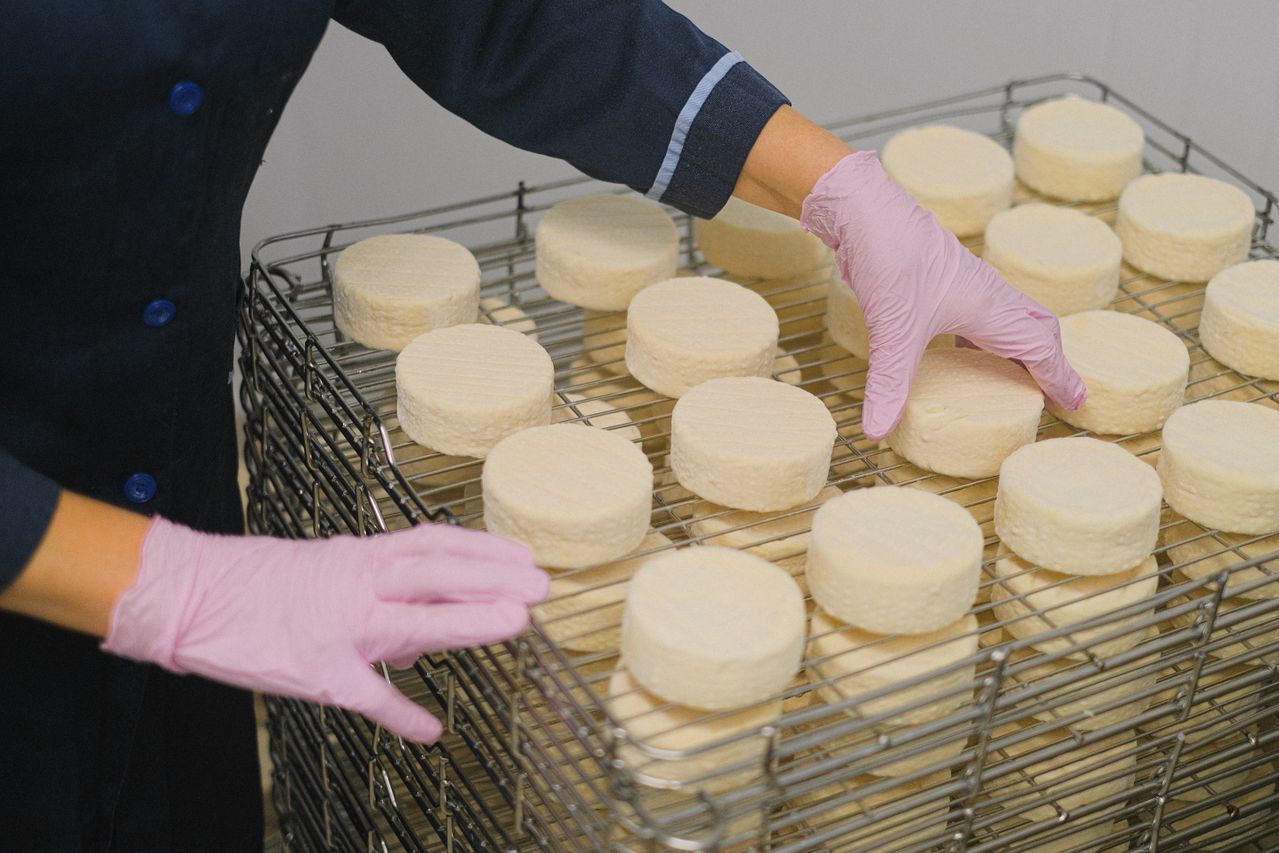 Formation des Chefs et expérience Terroir d'Avenir